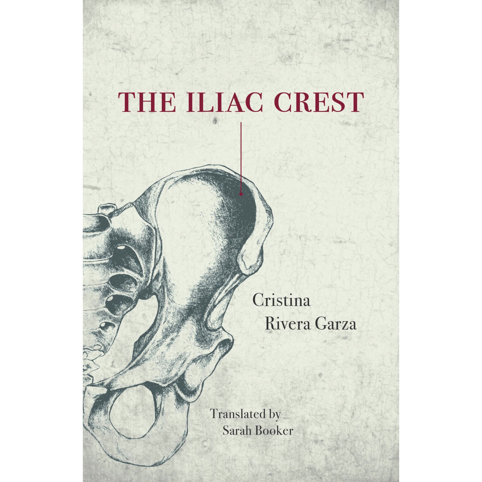 The Iliac Crest de Cristina Rivera Garza