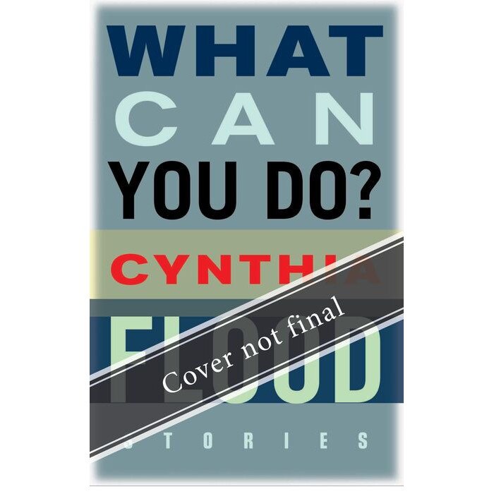 What Can You Do? de Cynthia Flood