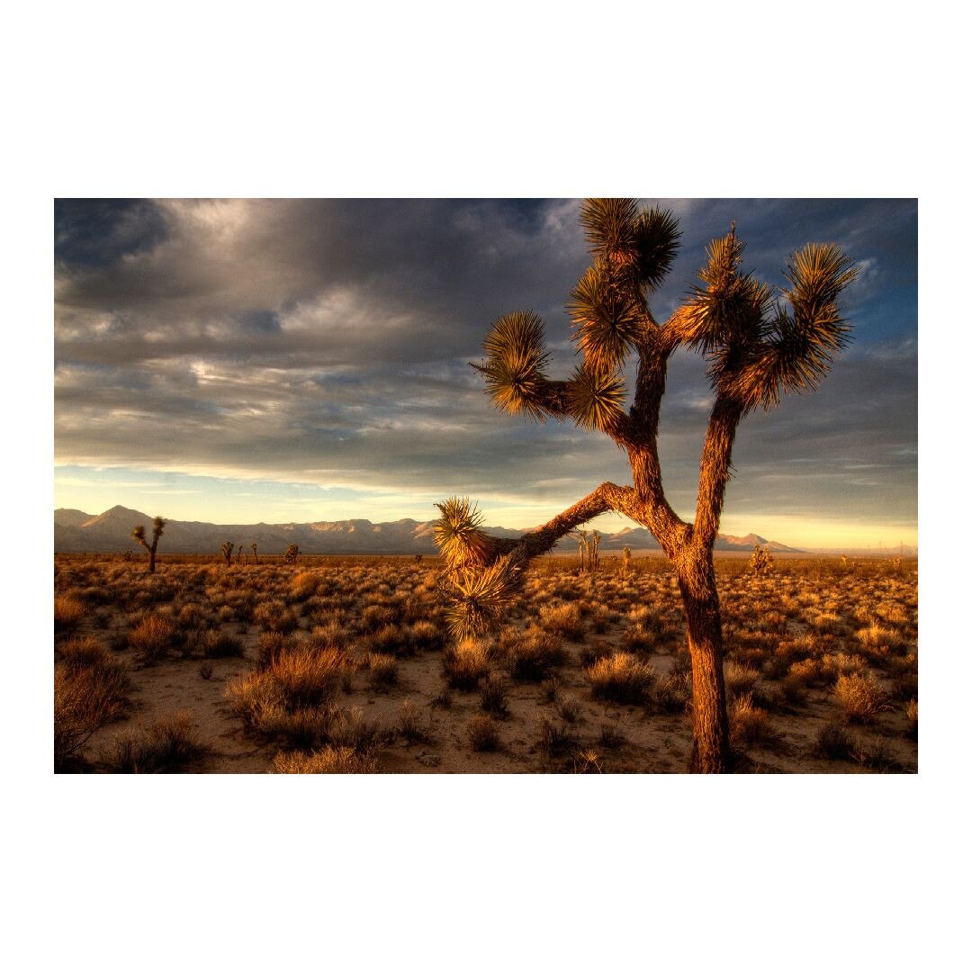 Tablou Canvas Modern, Dimensiunea 100x70 ART151