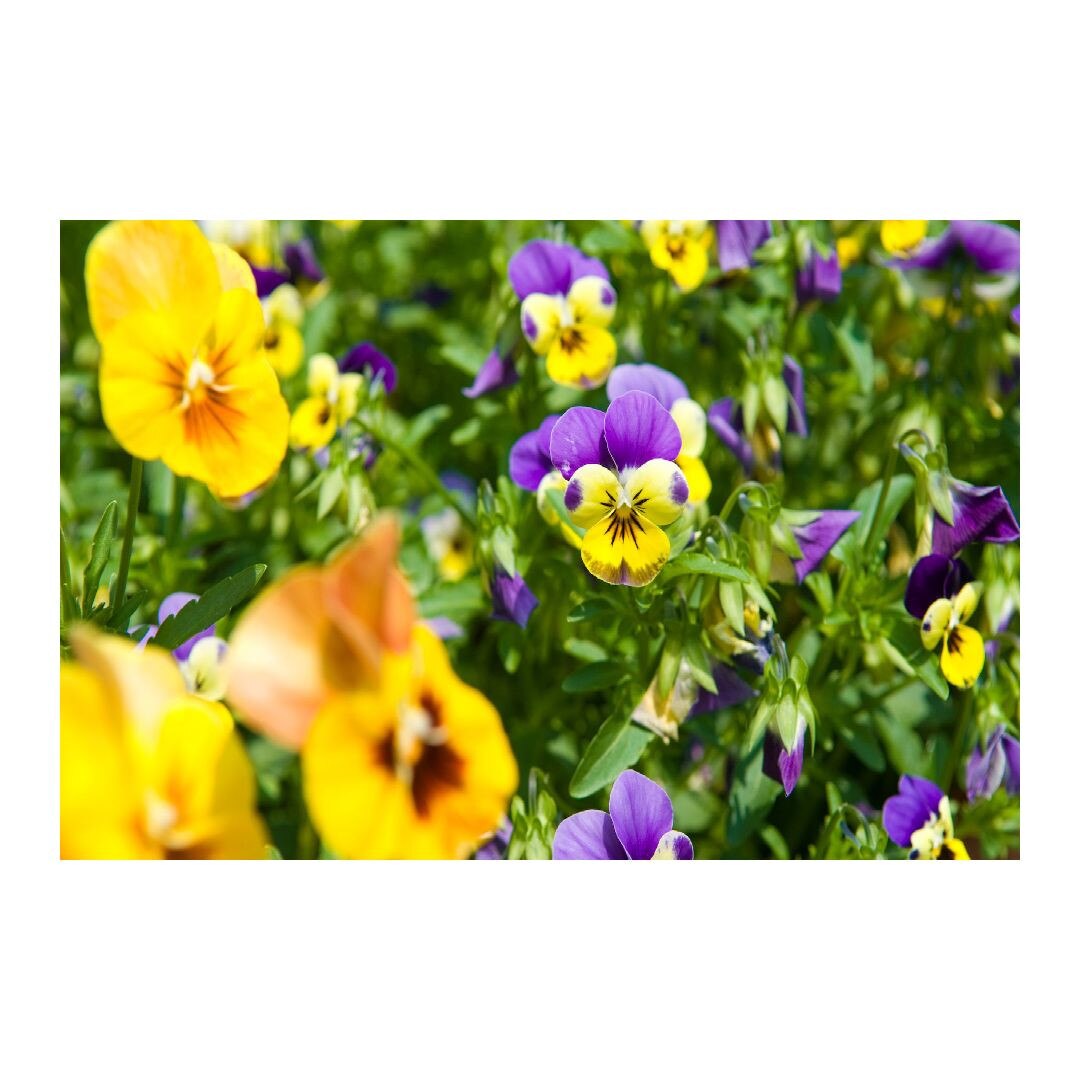 Tablou Canvas Modern, Dimensiunea 100x70 ART12