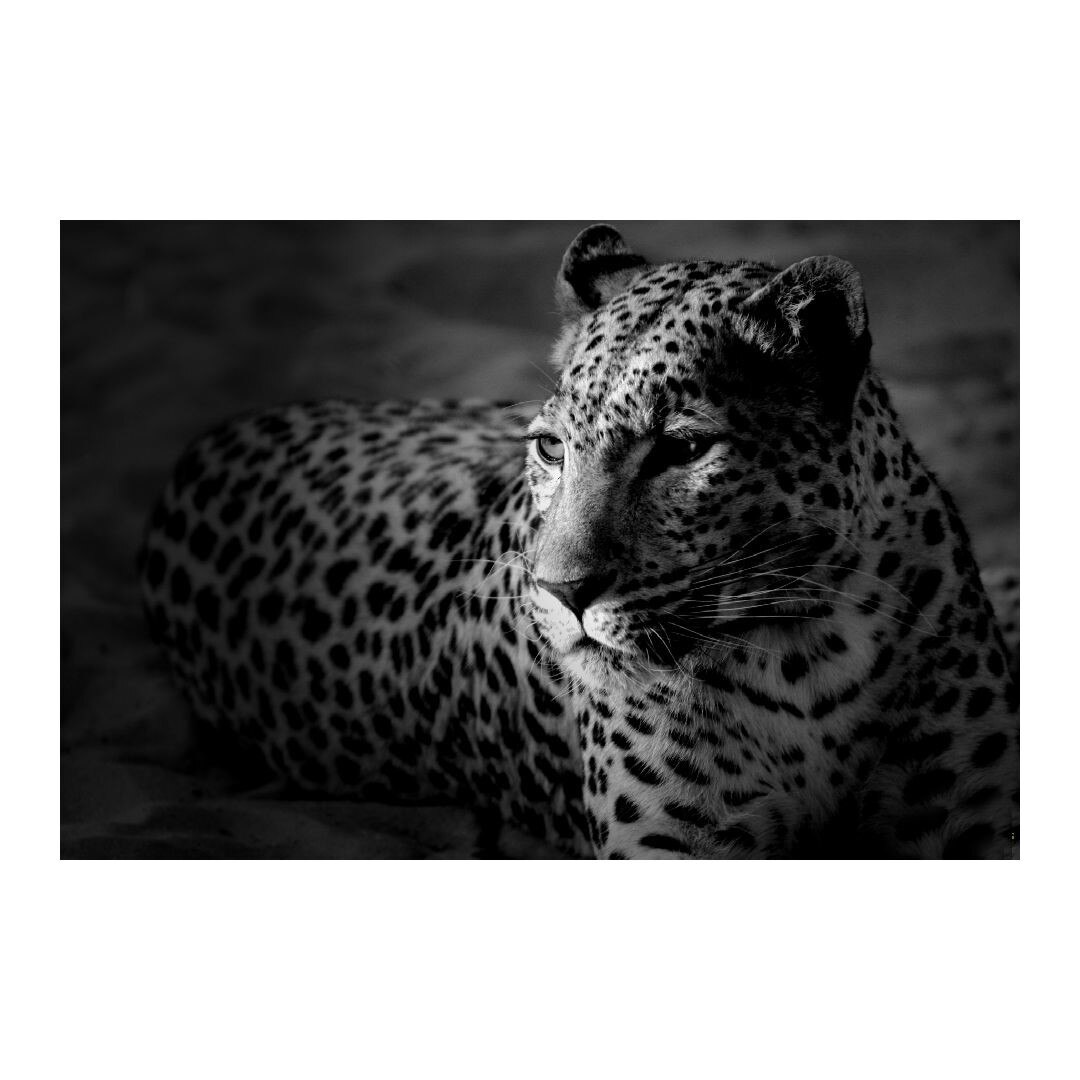 Tablou Canvas Modern, Dimensiunea 100x70 ART38