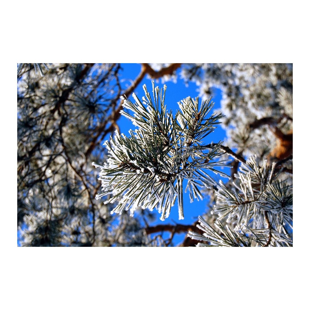 Tablou Canvas Modern, Dimensiunea 100x70 ART18