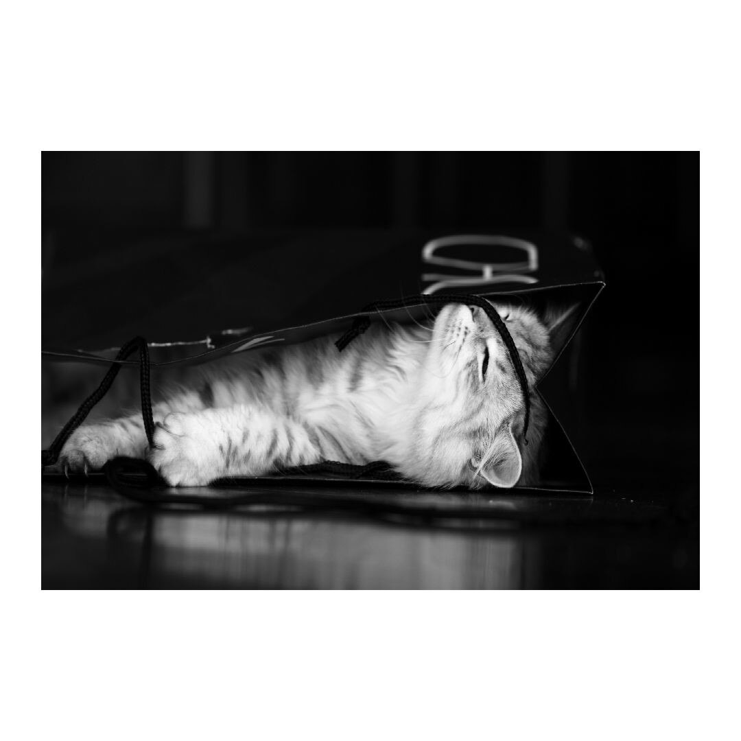 Tablou Canvas Modern, Dimensiunea 100x70 ART34