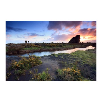 Tablou Canvas Modern, Dimensiunea 100x70 ART125 Tablou Canvas Modern, Dimensiunea 100x70 ART125