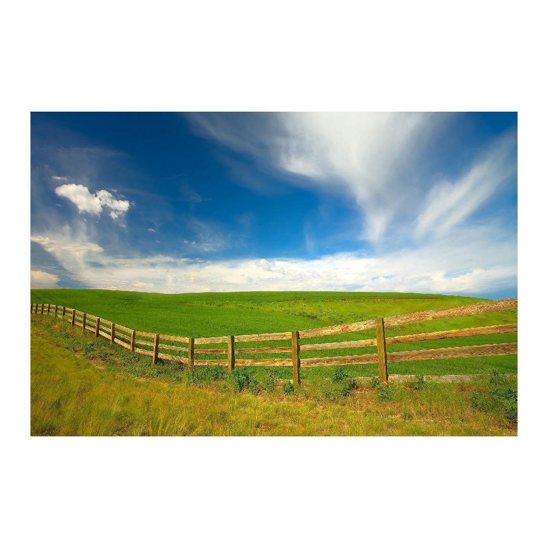 Tablou Canvas Modern, Dimensiunea 100x70 ART130