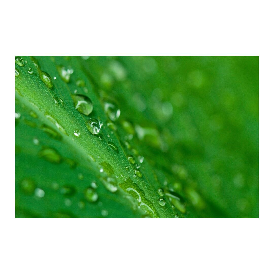 Tablou Canvas Modern, Dimensiunea 100x70 ART29