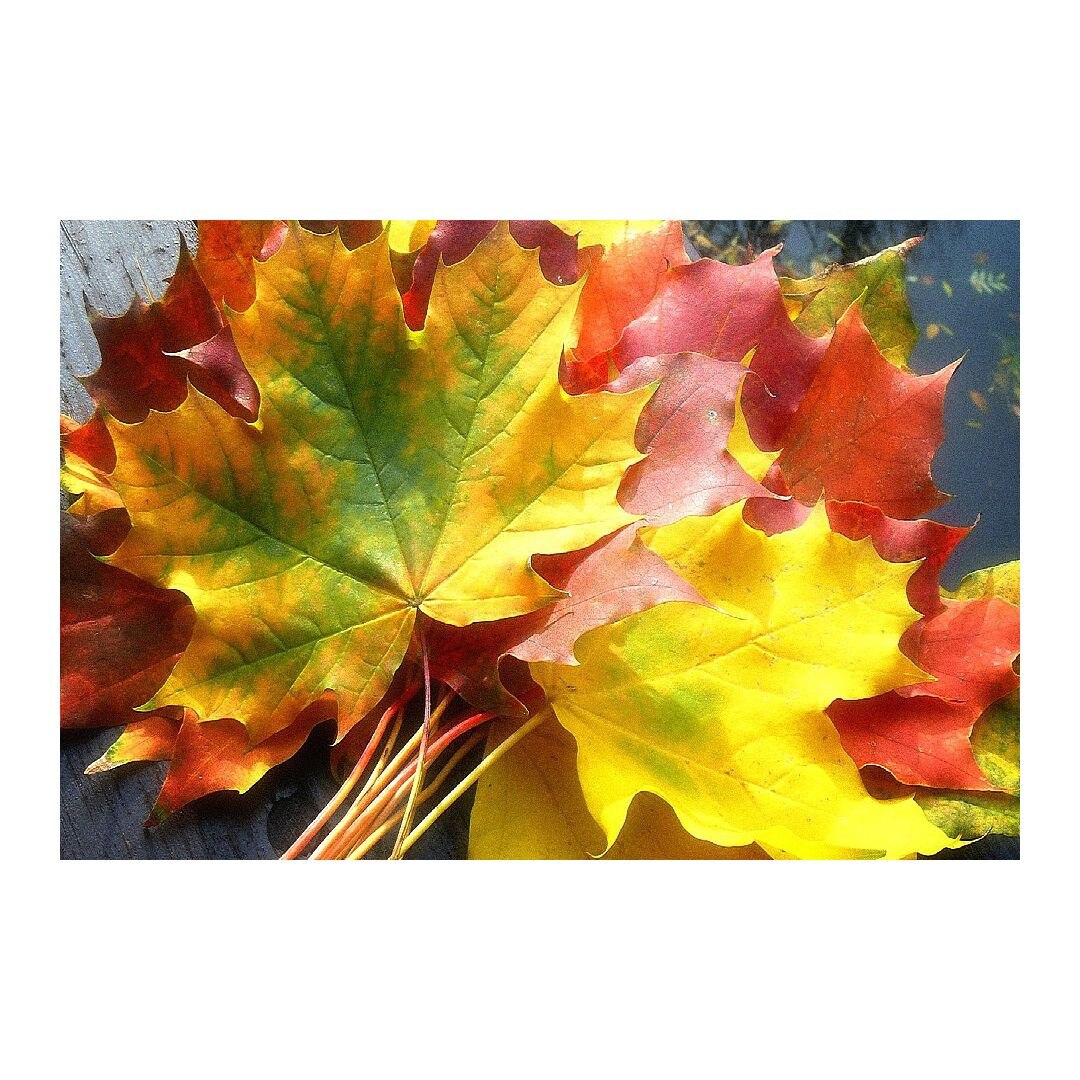 Tablou Canvas Modern, Dimensiunea 100x70 ART23