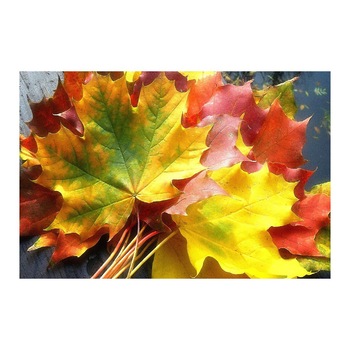 Tablou Canvas Modern, Dimensiunea 100x70 ART23 Tablou Canvas Modern, Dimensiunea 100x70 ART23