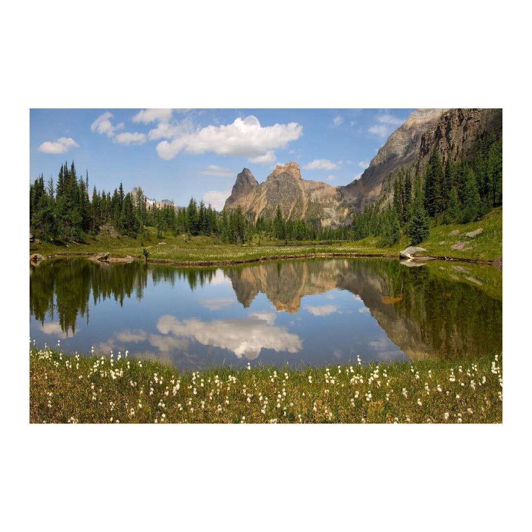 Tablou Canvas Modern, Dimensiunea 100x70 ART140