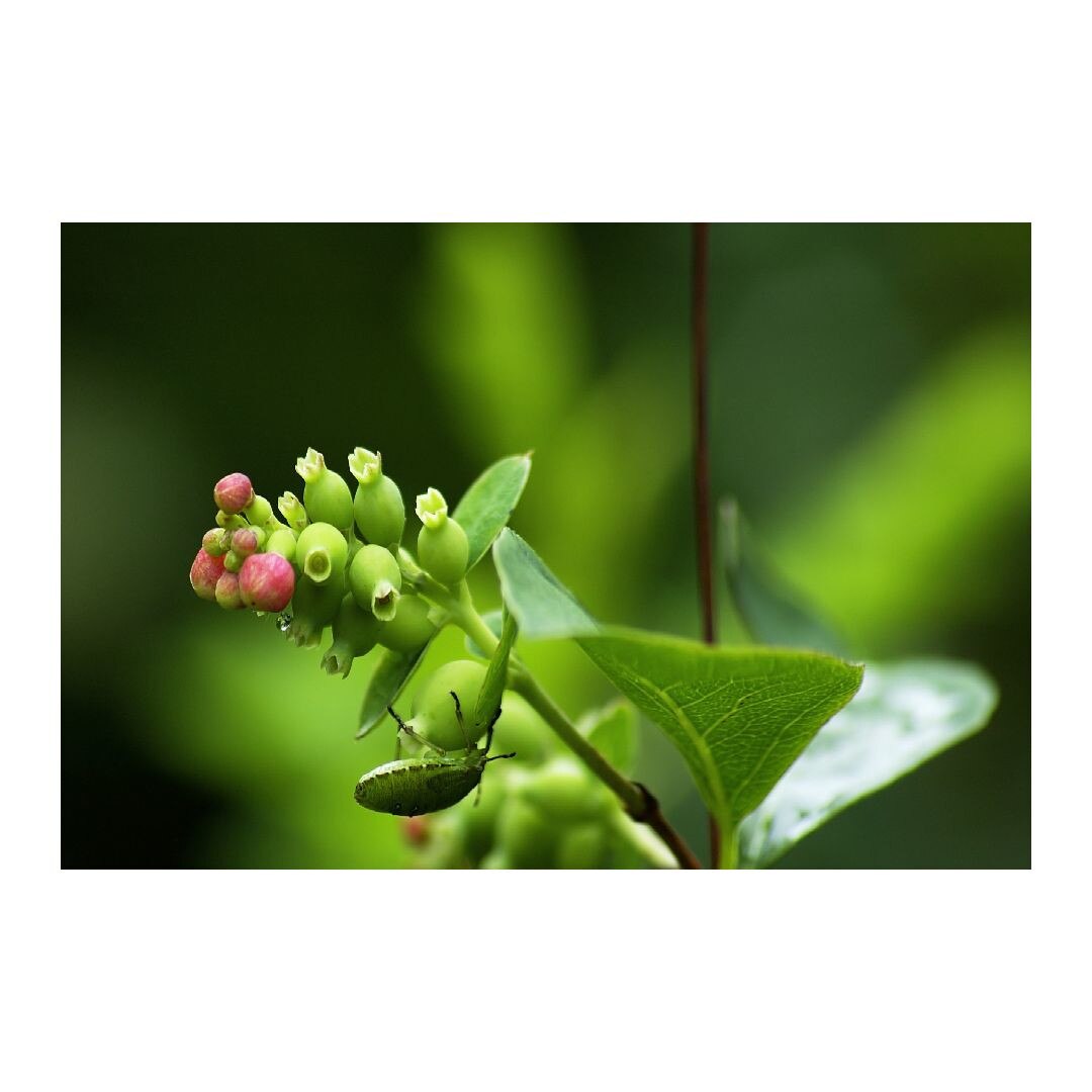 Tablou Canvas Modern, Dimensiunea 100x70 ART39