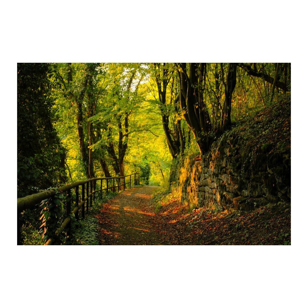 Tablou Canvas Modern, Dimensiunea 100x70 ART47