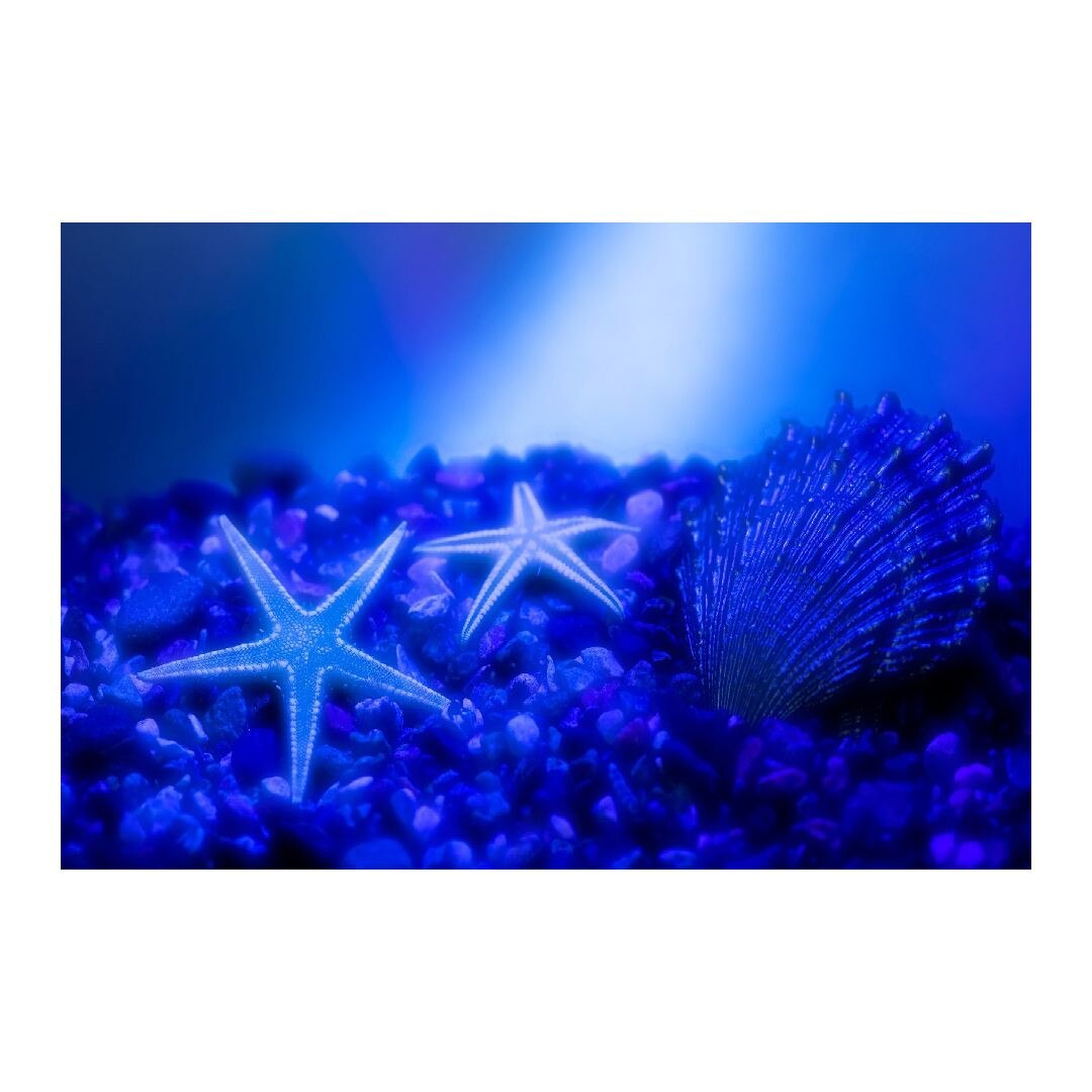 Tablou Canvas Modern, Dimensiunea 100x70 ART27