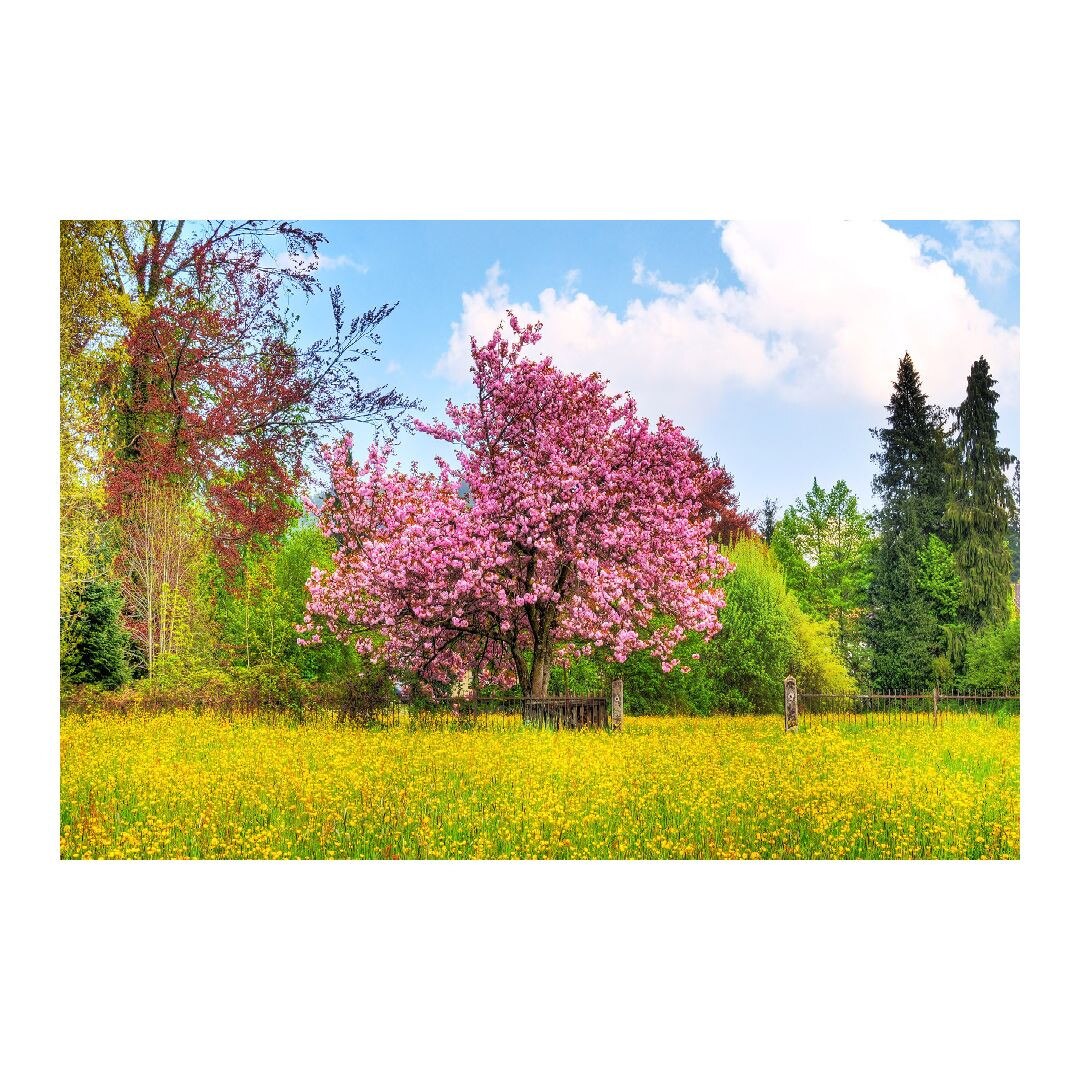 Tablou Canvas Modern, Dimensiunea 100x70 ART122