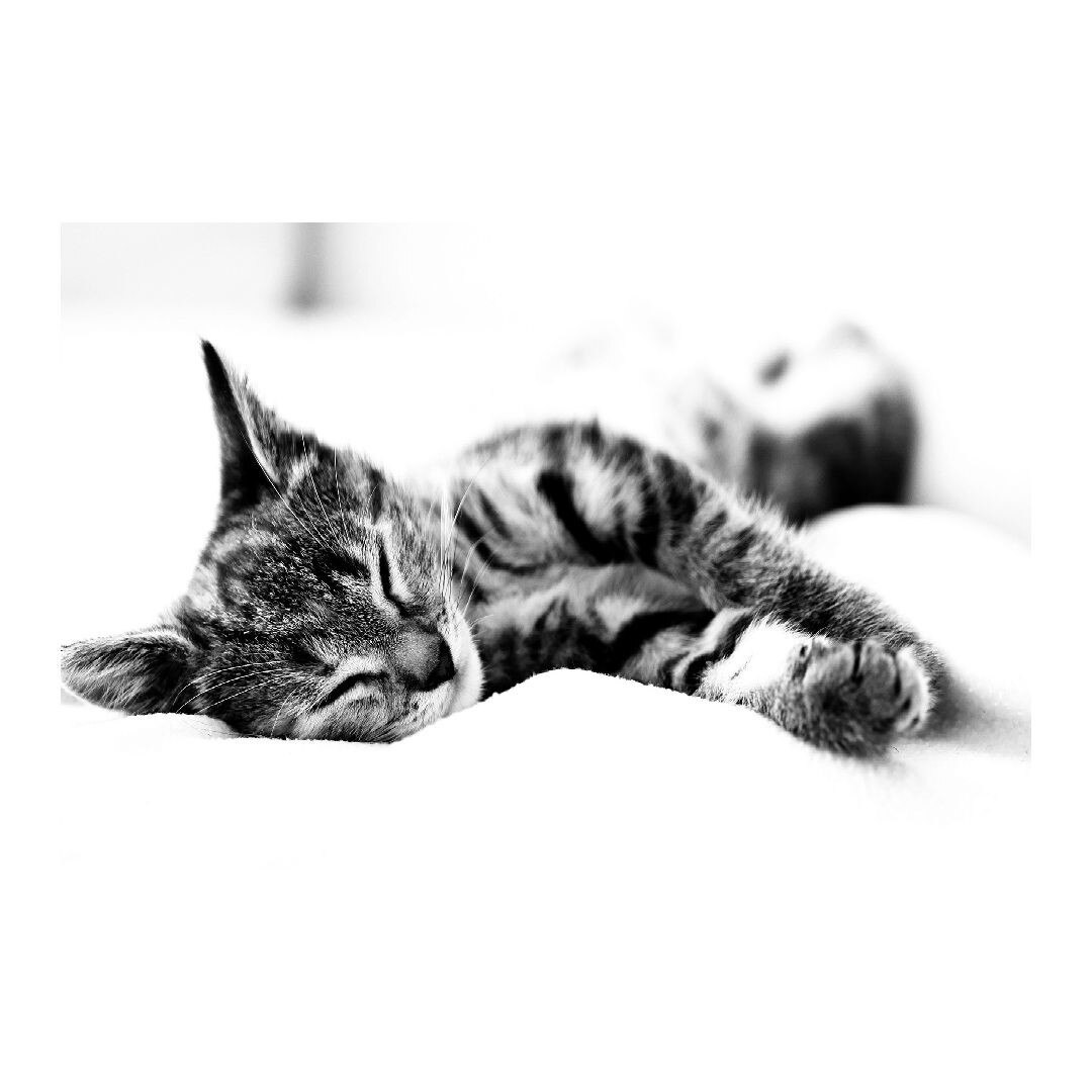 Tablou Canvas Modern, Dimensiunea 100x70 ART13