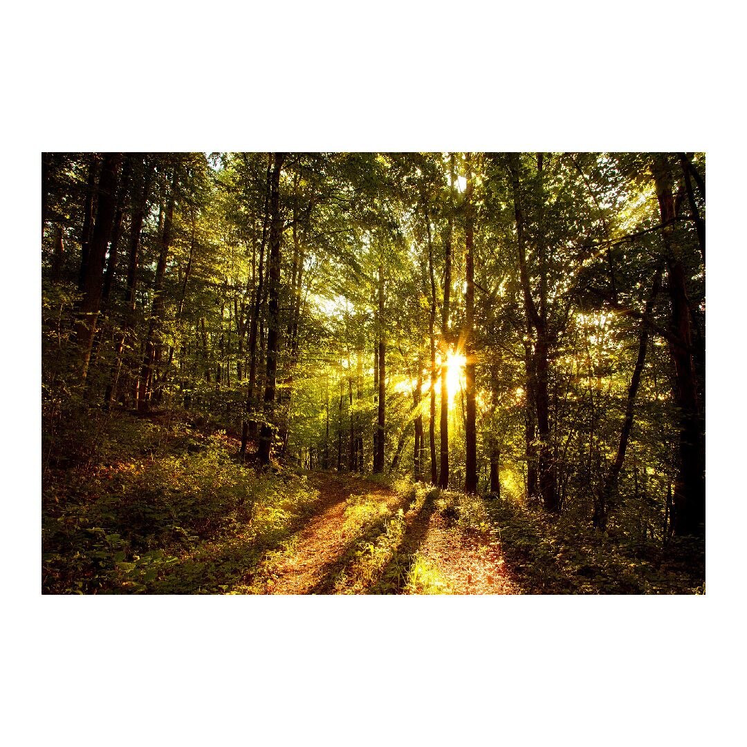 Tablou Canvas Modern, Dimensiunea 100x70 ART77