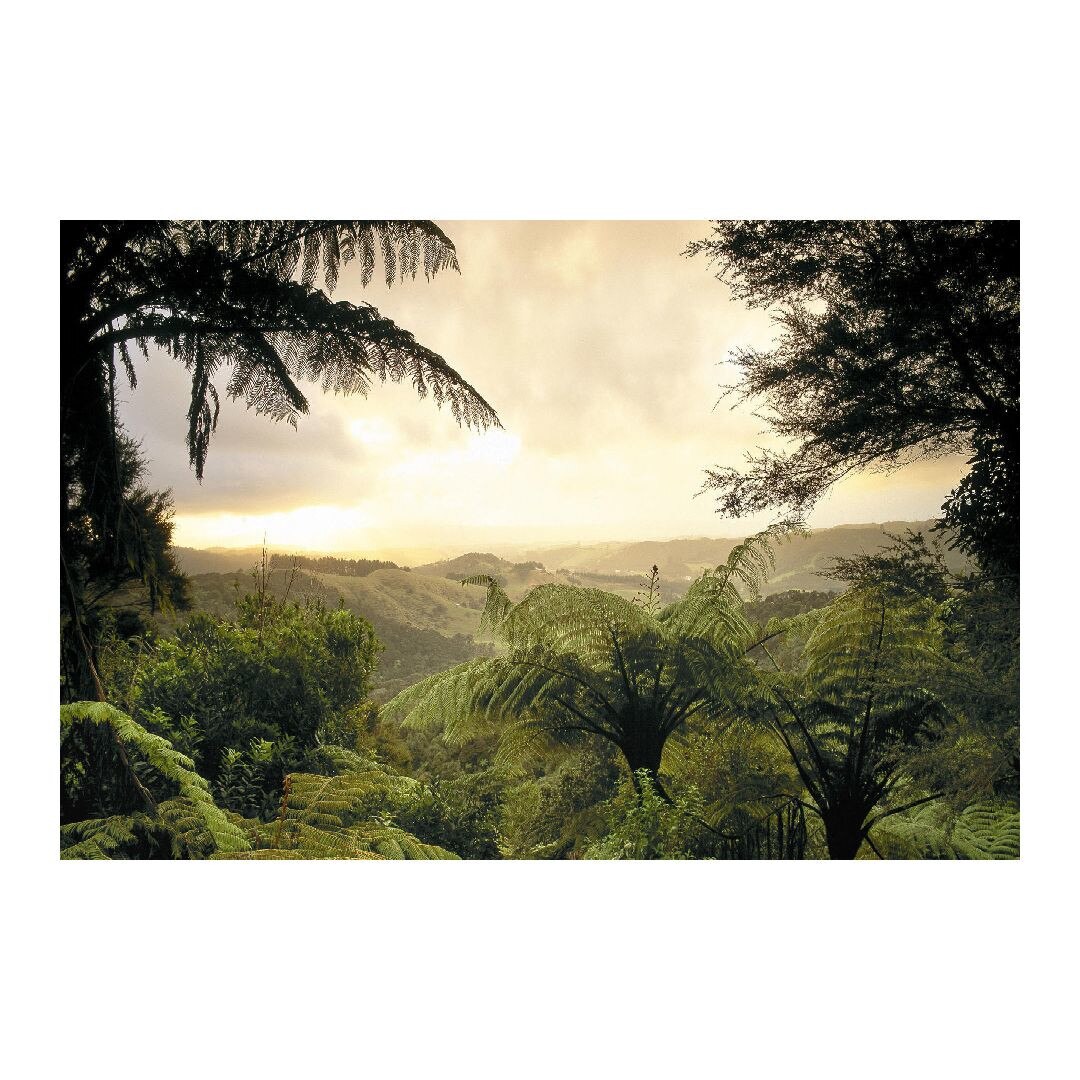 Tablou Canvas Modern, Dimensiunea 100x70 ART110