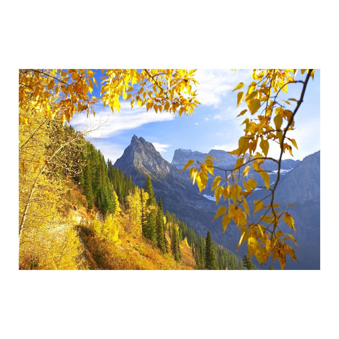 Tablou Canvas Modern, Dimensiunea 100x70 ART132