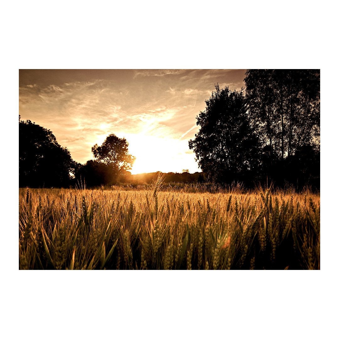 Tablou Canvas Modern, Dimensiunea 100x70 ART58