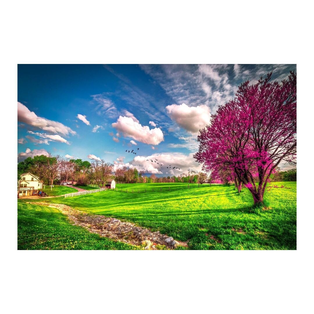 Tablou Canvas Modern, Dimensiunea 100x70 ART5