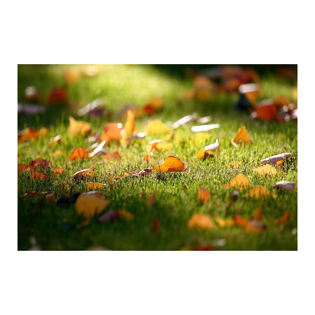 Tablou Canvas Modern, Dimensiunea 100x70 ART40