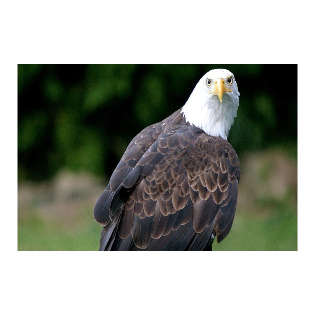 Tablou Canvas Modern, Dimensiunea 100x70 ART41