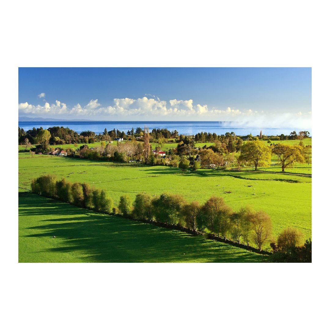 Tablou Canvas Modern, Dimensiunea 100x70 ART111