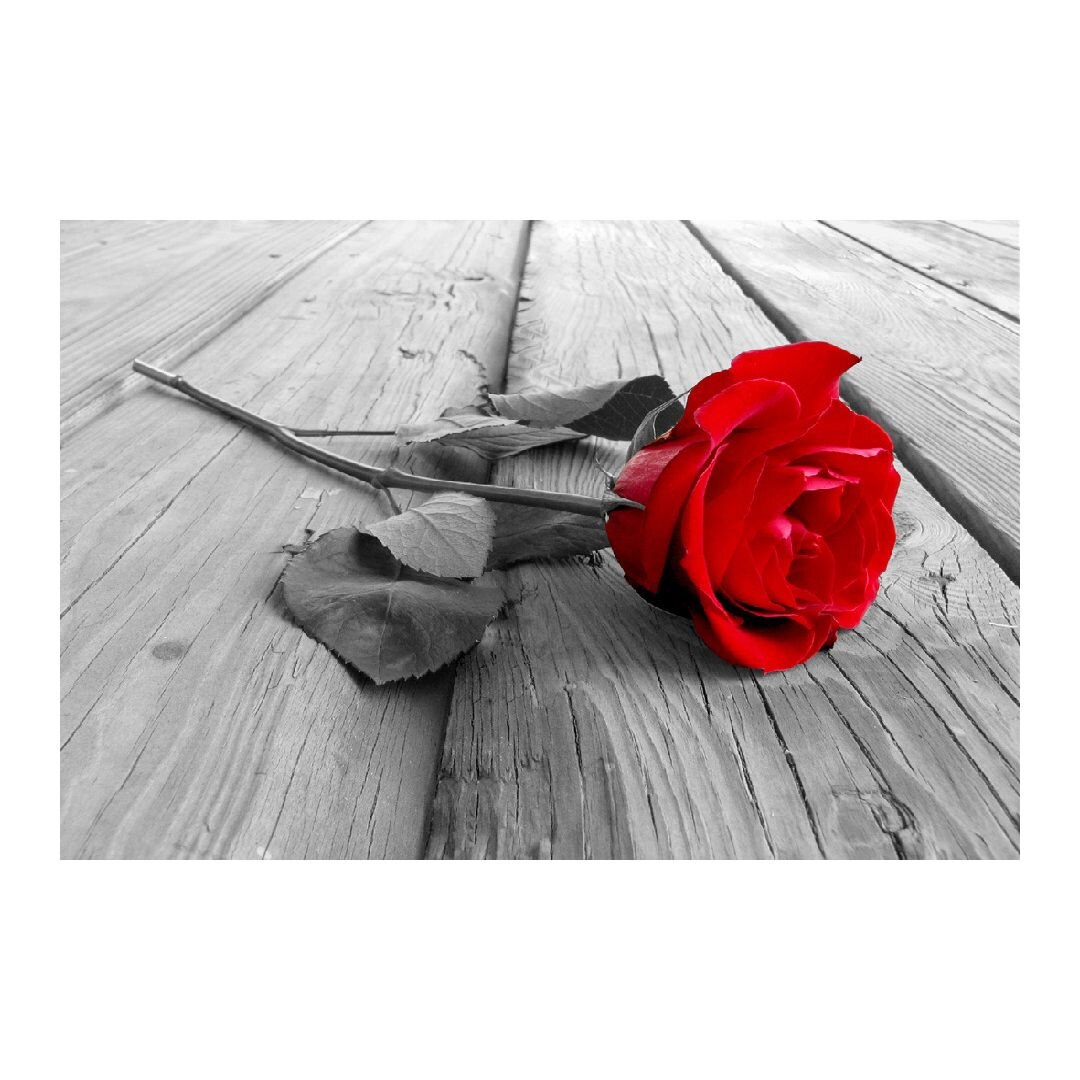 Tablou Canvas Modern, Dimensiunea 100x70 ART233