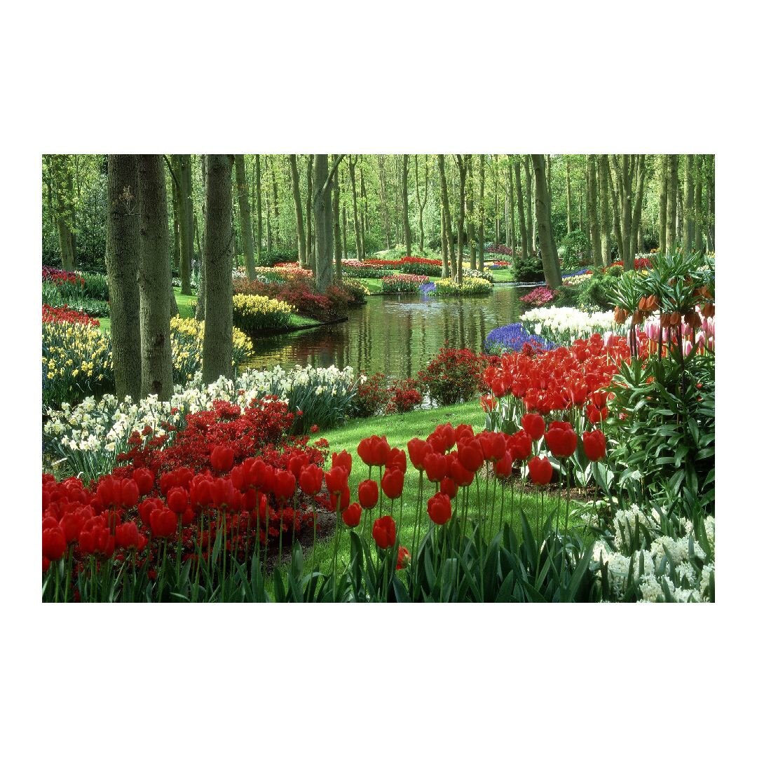 Tablou Canvas Modern, Dimensiunea 100x70 ART253