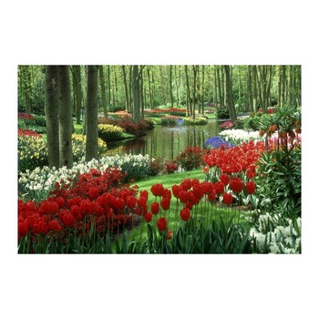 Tablou Canvas Modern, Dimensiunea 100x70 ART253 Tablou Canvas Modern, Dimensiunea 100x70 ART253