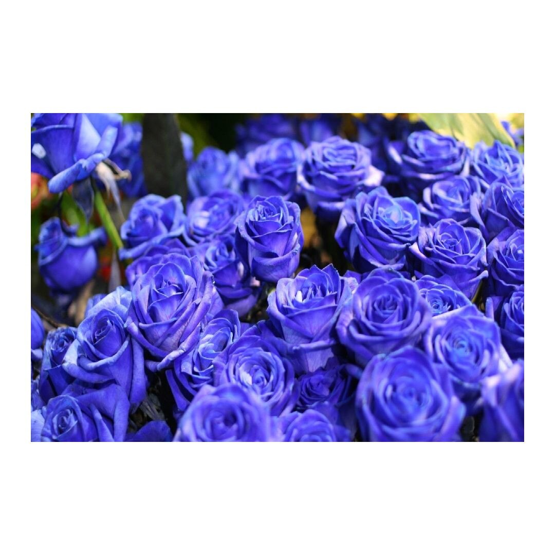 Tablou Canvas Modern, Dimensiunea 100x70 ART252