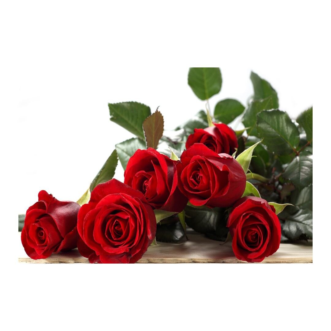 Tablou Canvas Modern, Dimensiunea 100x70 ART287