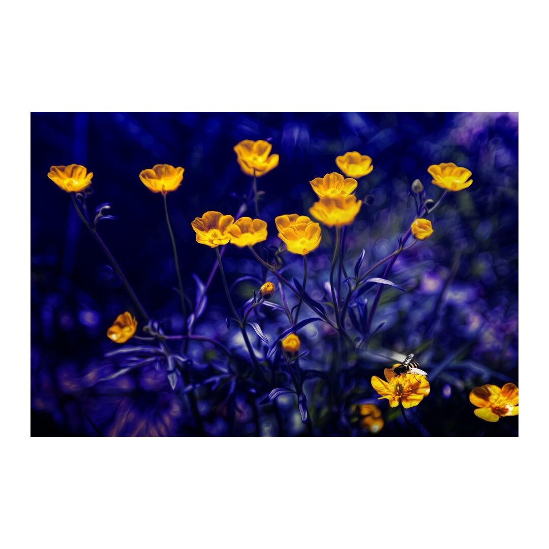 Tablou Canvas Modern, Dimensiunea 100x70 ART175