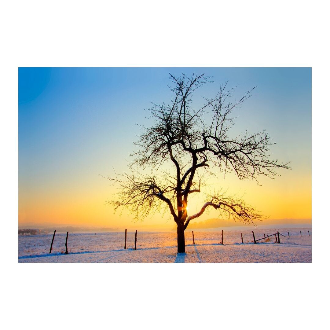 Tablou Canvas Modern, Dimensiunea 100x70 ART155