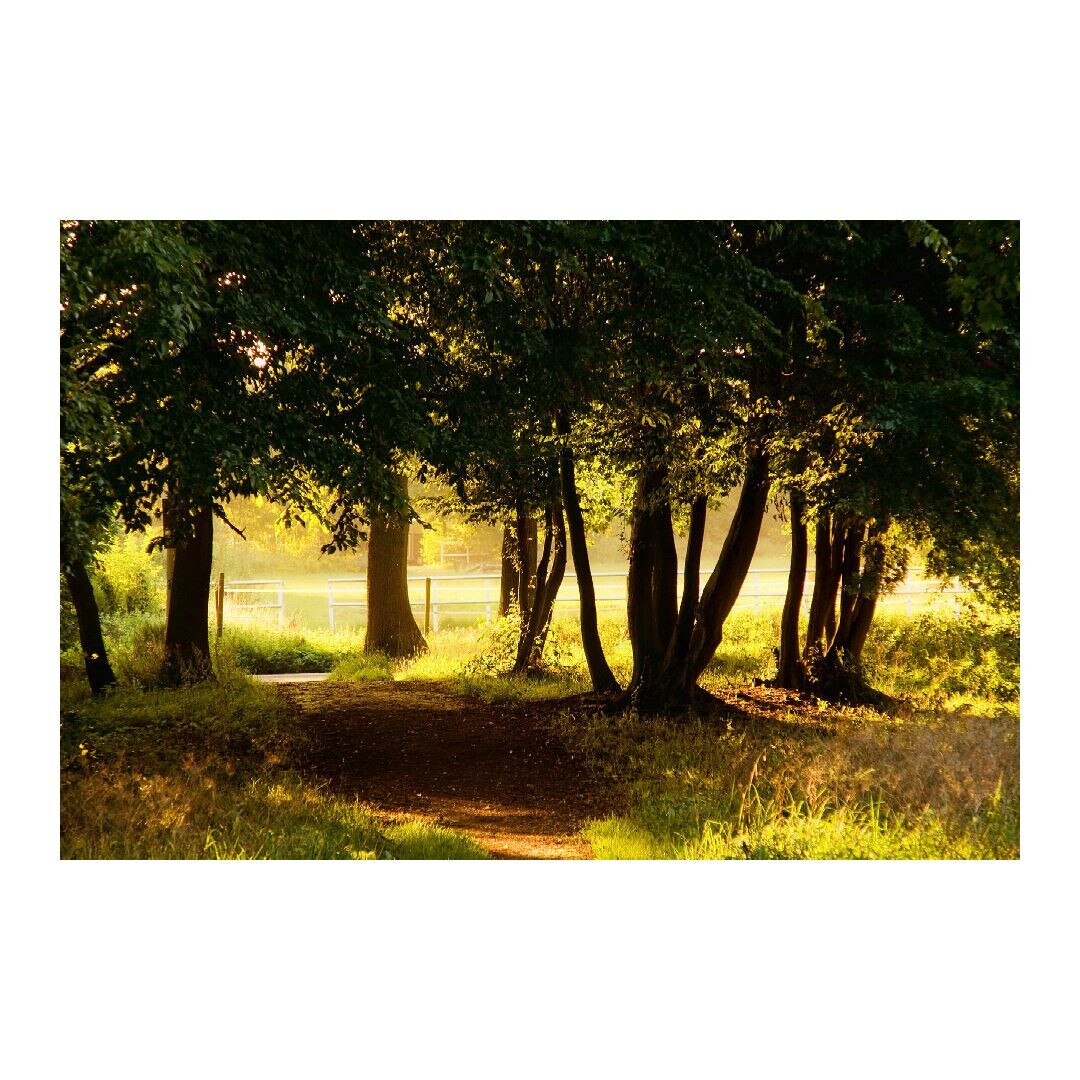 Tablou Canvas Modern, Dimensiunea 100x70 ART222