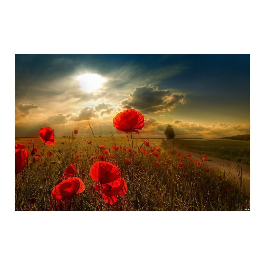 Tablou Canvas Modern, Dimensiunea 100x70 ART246