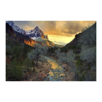 Tablou Canvas Modern, Dimensiunea 100x70 ART160 Tablou Canvas Modern, Dimensiunea 100x70 ART160