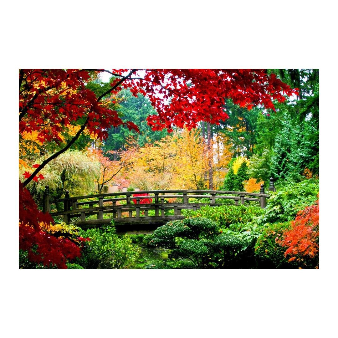 Tablou Canvas Modern, Dimensiunea 100x70 ART223