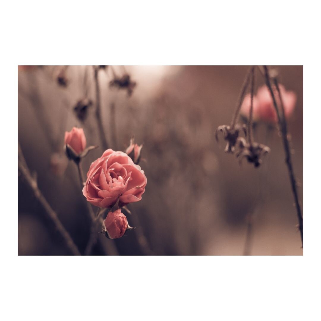 Tablou Canvas Modern, Dimensiunea 100x70 ART176