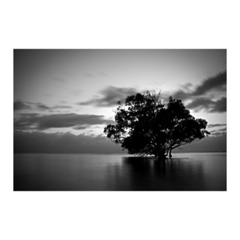 Tablou Canvas Modern, Dimensiunea 100x70 ART153 Tablou Canvas Modern, Dimensiunea 100x70 ART153