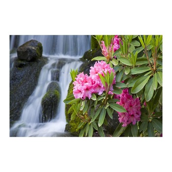 Tablou Canvas Modern, Dimensiunea 100x70 ART260 Tablou Canvas Modern, Dimensiunea 100x70 ART260