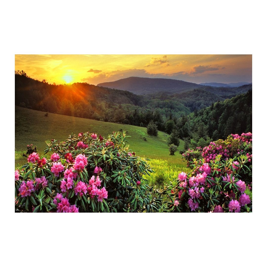 Tablou Canvas Modern, Dimensiunea 100x70 ART218