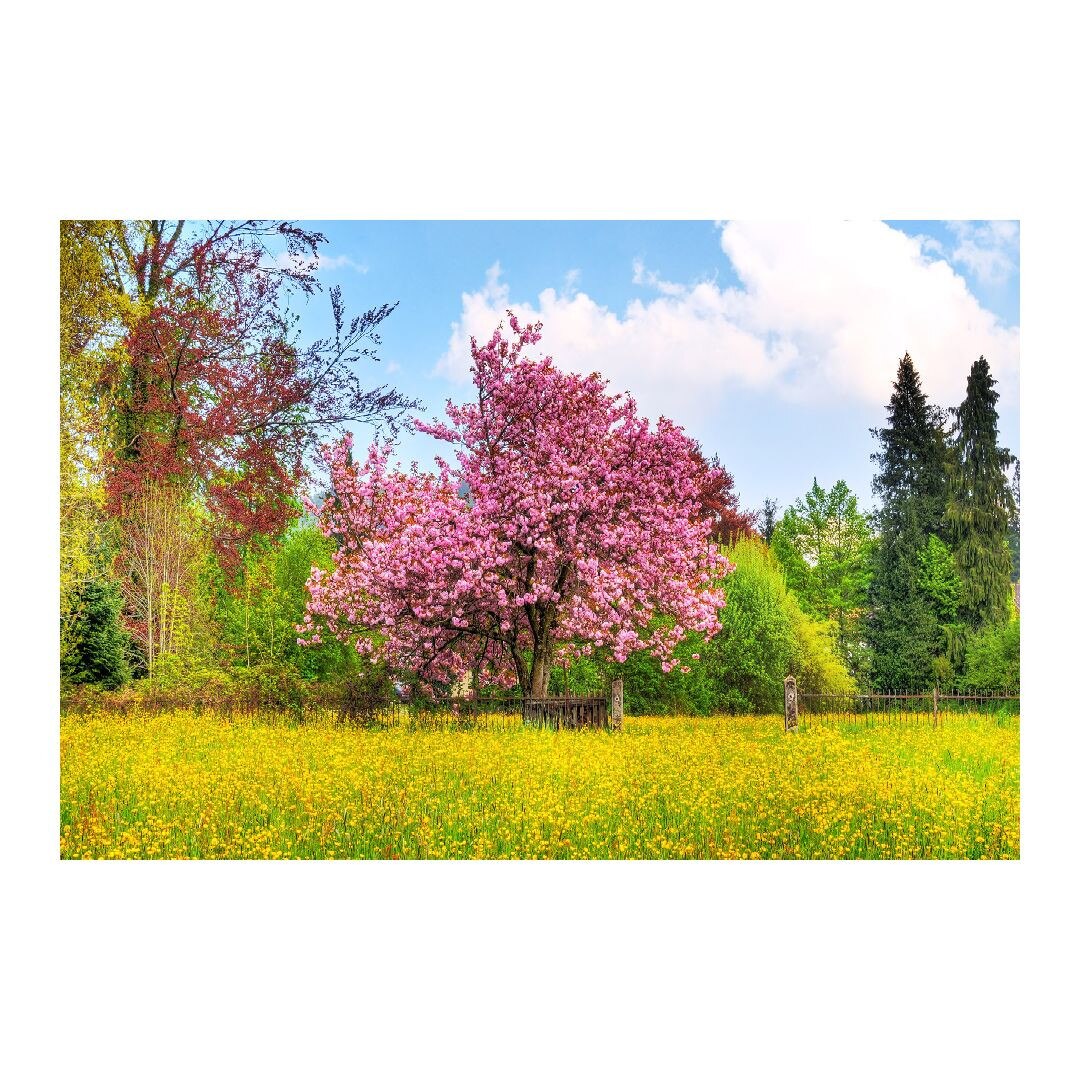 Tablou Canvas Modern, Dimensiunea 100x70 ART215