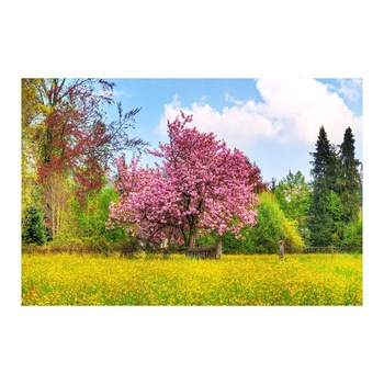 Tablou Canvas Modern, Dimensiunea 100x70 ART215 Tablou Canvas Modern, Dimensiunea 100x70 ART215