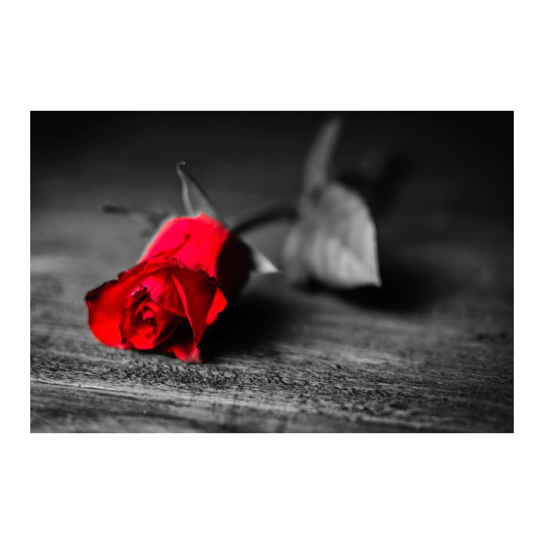 Tablou Canvas Modern, Dimensiunea 100x70 ART284