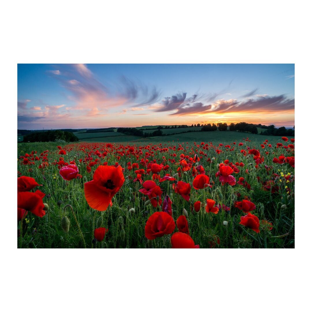 Tablou Canvas Modern, Dimensiunea 100x70 ART286