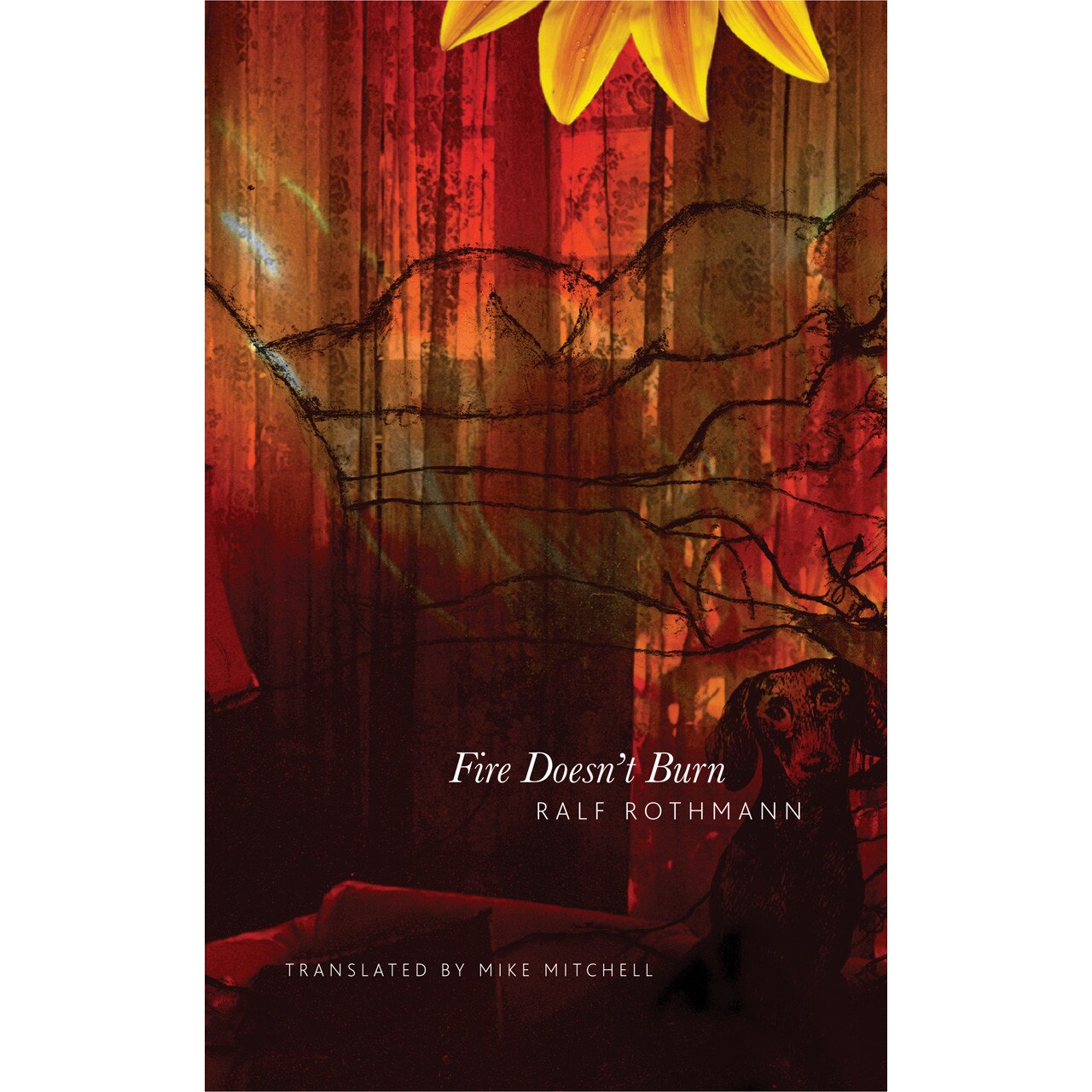 Fire Doesn't Burn de Ralf Rothmann