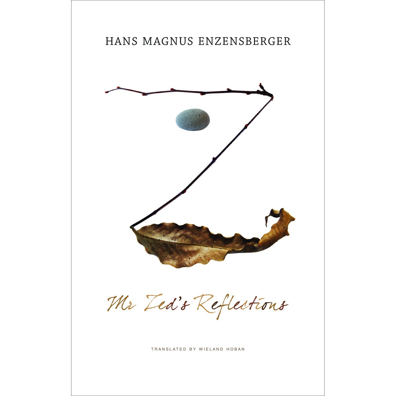 Mr. Zed's Reflections de Hans Magnus Enzensberger