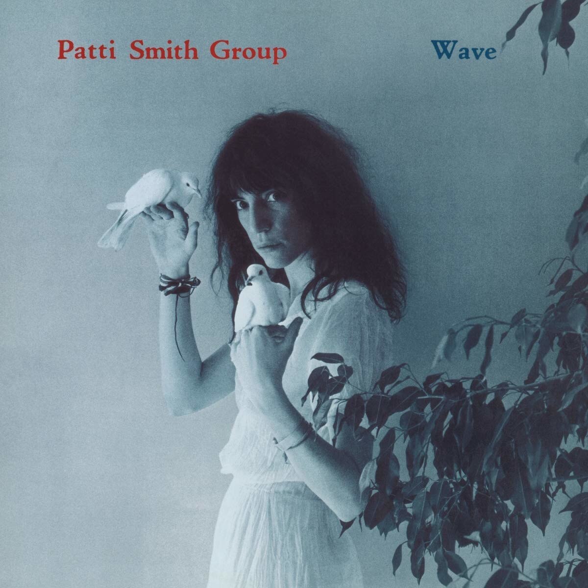 Patti Smith Group - Wave - Vinyl - Vinyl