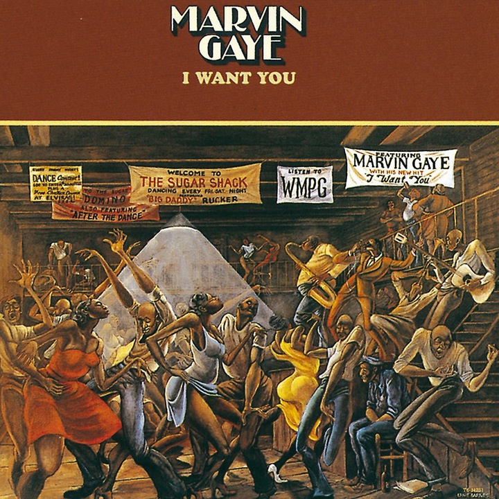 Marvin Gaye - I Want You - Vinyl - Vinyl