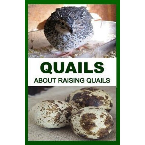 Quails: About Raising Quails, F. Otieno (Author)